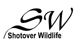 Shotover Wildlife