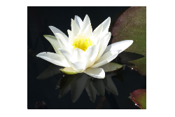 Friends of Milham Ford Nature Park