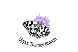 Butterfly Conservation