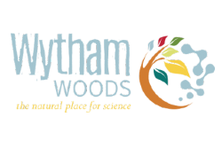 Wytham Woods